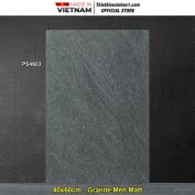 Gạch 40x60 World Tiles PS4603 Lát Sân