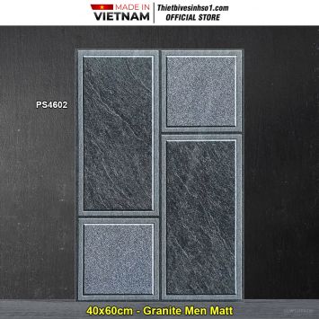 Gạch 40x60 World Tiles PS4602 Lát Sân