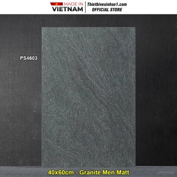 Gạch 40x60 World Tiles PS4603 Lát Sân