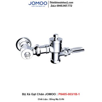 Bộ Xả Gạt Chân JOMOO P8405-003/1B-1