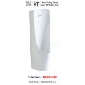 Bồn Tiểu Nam Đặt Sàn RXKTN509