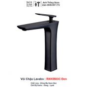 Vòi Lavabo Đen RXK5503C