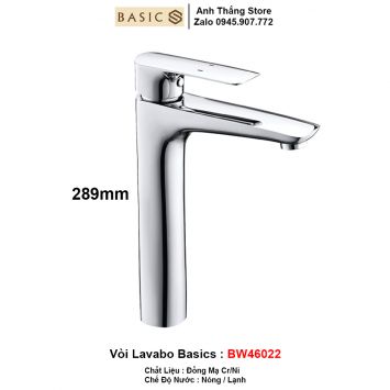 Vòi Rửa Lavabo Basics BW46022