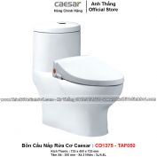 Bồn Cầu Nắp Rửa Cơ Caeser CD1375+TAF050