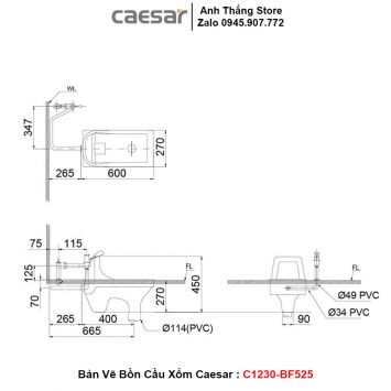 Bồn Cầu Xổm Caesar C1230-BF525