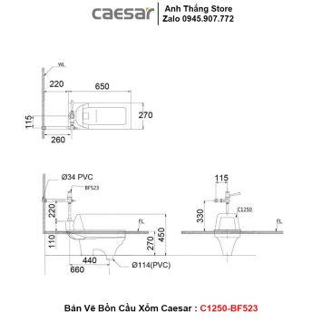 Bồn Cầu Xổm Caesar C1250-BF523