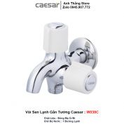 Vòi Sen Lạnh Gắn Tường Caesar W038C