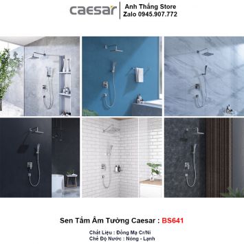 Sen Tắm Âm Tường Caesar BS641