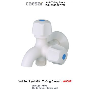 Vòi Sen Lạnh Gắn Tường Caesar W038P