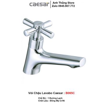 Vòi Lavabo Lạnh Caesar B065C