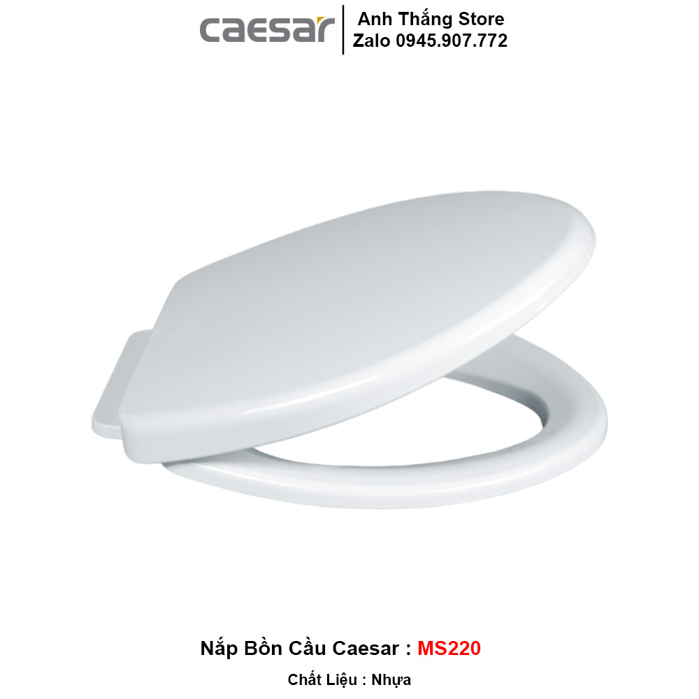 Nắp Bồn Cầu Caesar MS220