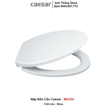 Nắp Bồn Cầu Caesar MU234