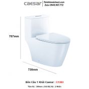 Bồn Cầu 1 Khối Caesar C1363