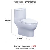 Bồn Cầu 1 Khối Caesar C1375