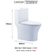 Bồn Cầu 1 Khối Caesar C1391