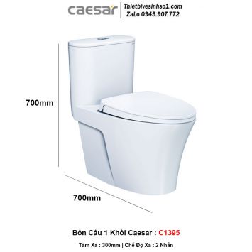 Bồn Cầu 1 Khối Caesar C1395