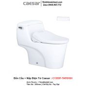 Bồn Cầu Nắp Rửa Điện Tử Caesar C1353F-TAF610H