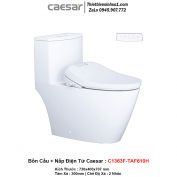Bồn Cầu Nắp Rửa Điện Tử Caesar C1363F-TAF610H