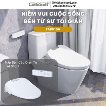 Nắp Bồn Cầu Điện Tử Caesar TAF610H