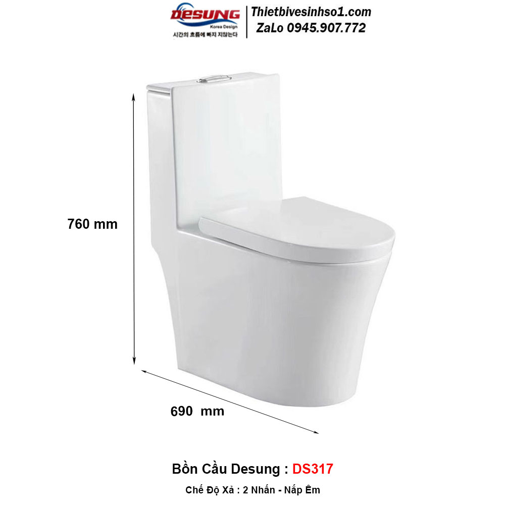 Bồn Cầu Desung DS317 Bồn Cầu Desung DS317