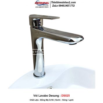 Vòi Lavabo Desung DS025