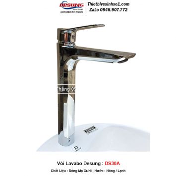 Vòi Lavabo Desung DS30A