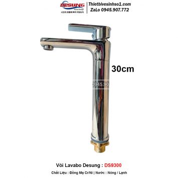 Vòi Lavabo Desung DS9300