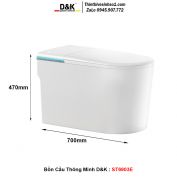 Bồn Cầu Thông Minh D&K ST6903E