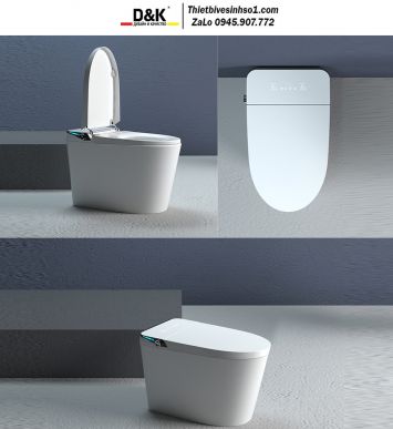 Bồn Cầu Thông Minh D&K ST6901E