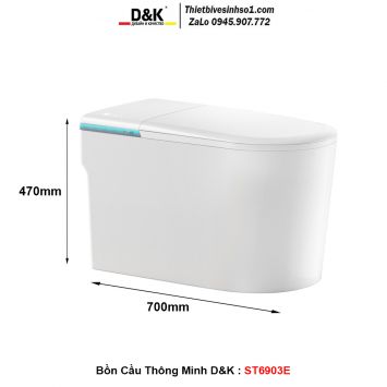 Bồn Cầu Thông Minh D&K ST6903E