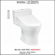 Bồn Cầu Điện Tử TOTO MS855CDW15