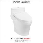 Bồn Cầu Điện Tử TOTO MS885DW16