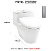 Bồn Cầu Điện Tử TOTO MS823CDRW12