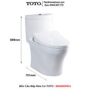 Bồn Cầu Nắp Rửa Cơ TOTO MS889DRE4
