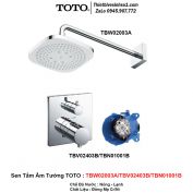 Sen Tắm Âm Tường TOTO TBW02003A-TBV02403B-TBN01001B