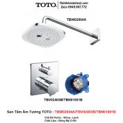 Sen Tắm Âm Tường TOTO TBW02004A-TBV02403B-TBN01001B