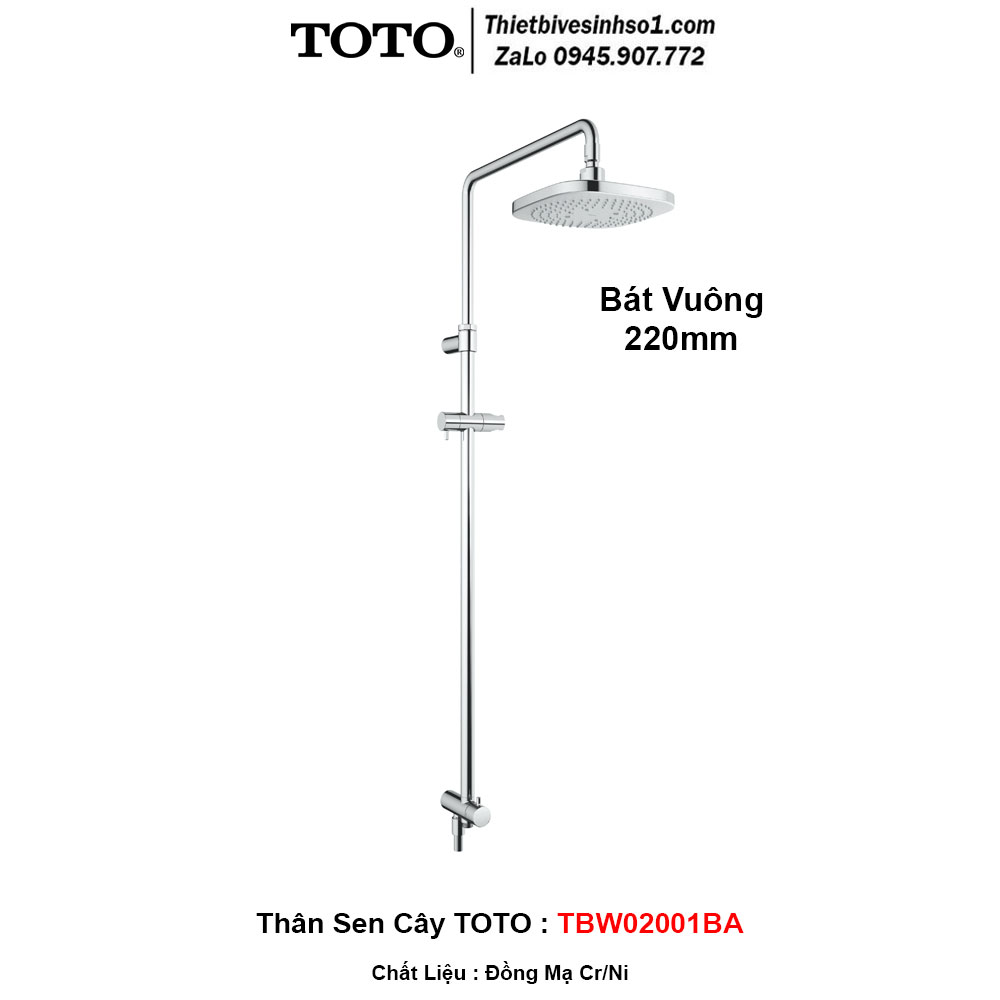Thân Sen Cây TOTO TBW02001BA