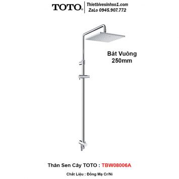 Thân Sen Cây TOTO TBW08006A
