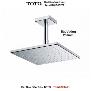 Bát Sen Gắn Trần TOTO TBW08002A1