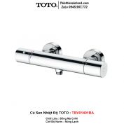 Củ Sen Nhiệt Độ TOTO TBV01401BA