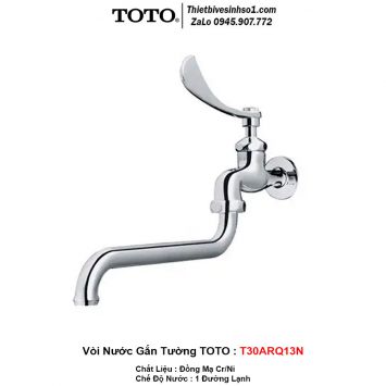 Vòi Nước Gắn Tường TOTO T30ARQ13N