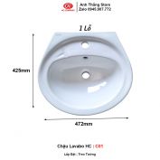 Chậu Lavabo HC C01 2