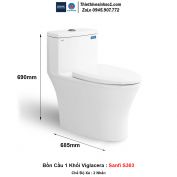 Bồn Cầu 1 Khối Viglacera Sanfi S303