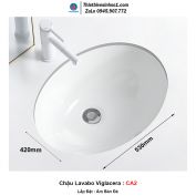 Chậu Lavabo Viglacera CA2