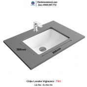 Chậu Lavabo Viglacera TS1