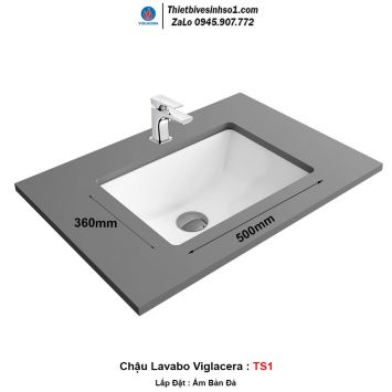 Chậu Lavabo Viglacera TS1