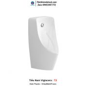 Tiểu Nam Viglacera T2