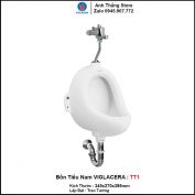 Tiểu Nam Viglacera TT1