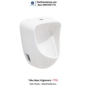 Tiểu Nam Viglacera TT3