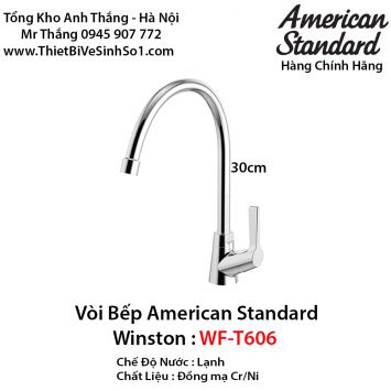Vòi Rửa Bát 1 Đường Lạnh American Standard WF-T606